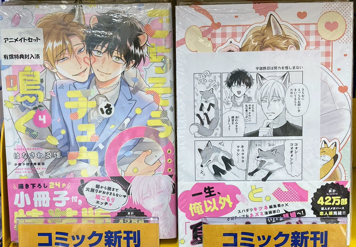 DistortedCode ディストコ アニメイト 特典 小冊子 DistortedCode-生者の残り香-