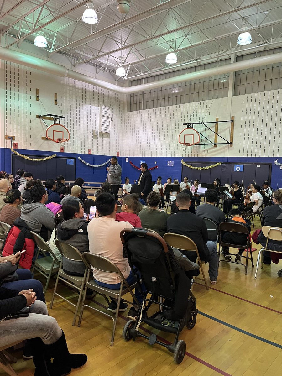 Elisabeth Halici tweet media