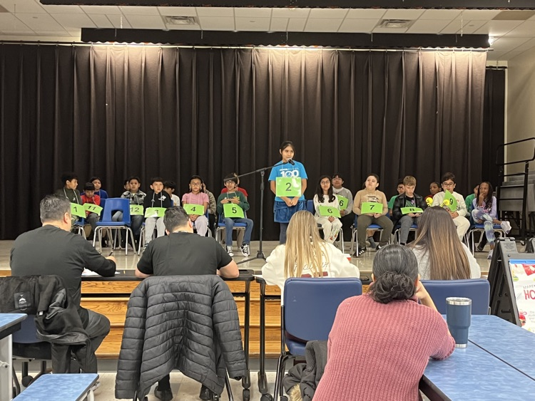 The Spanish Spelling Bee has happened at Marek! Amazing students! Great job, Marlins!