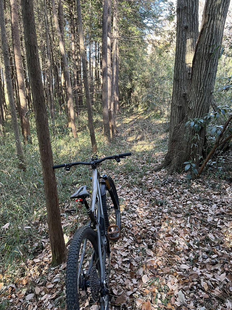 たまたま (@purine__) / Posts / X