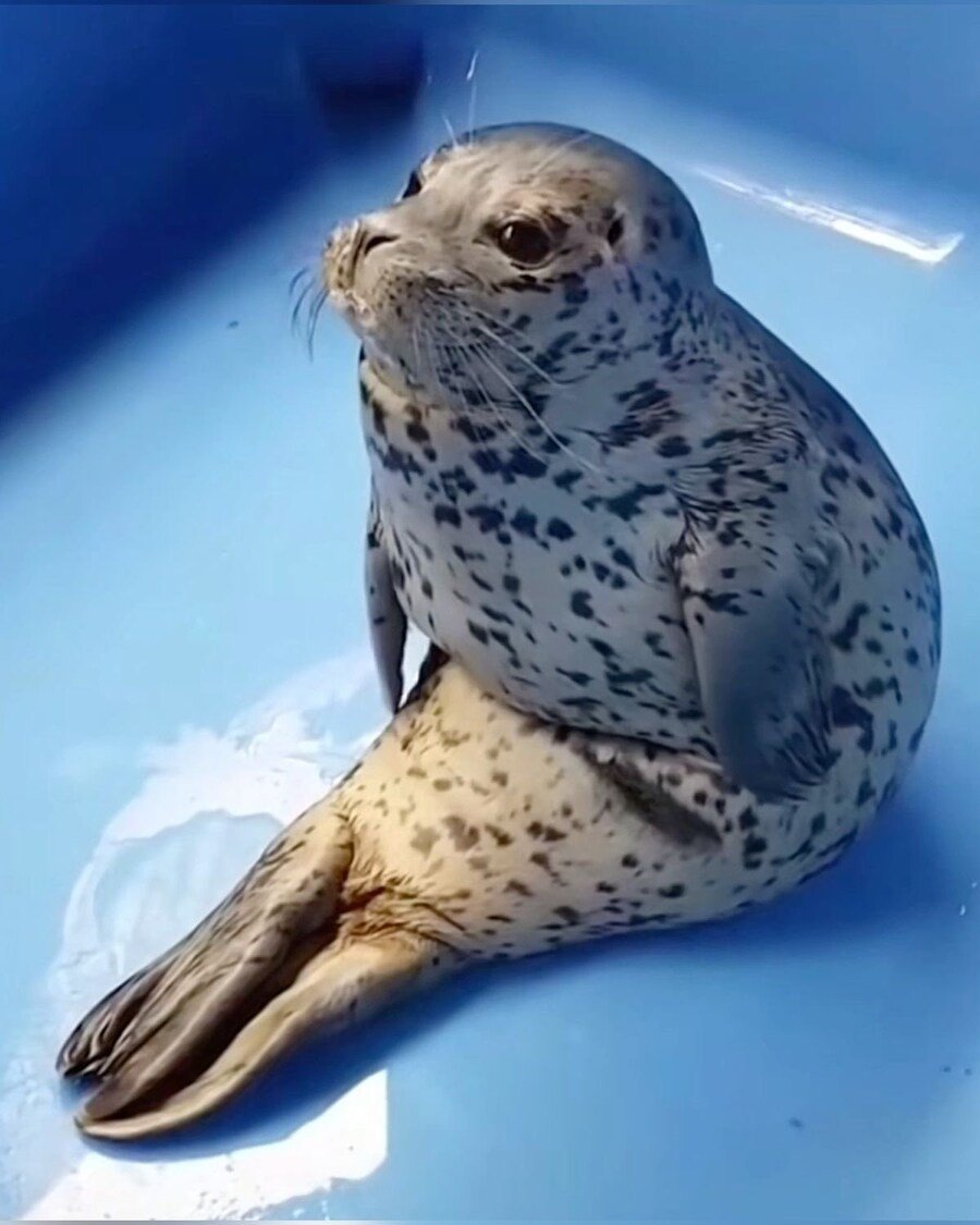 AKINATan58255's tweet image. 