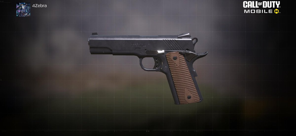 zebizenette's tweet photo. There is only one right answer for what the next gun should be https://t.co/5UljiOQPiq