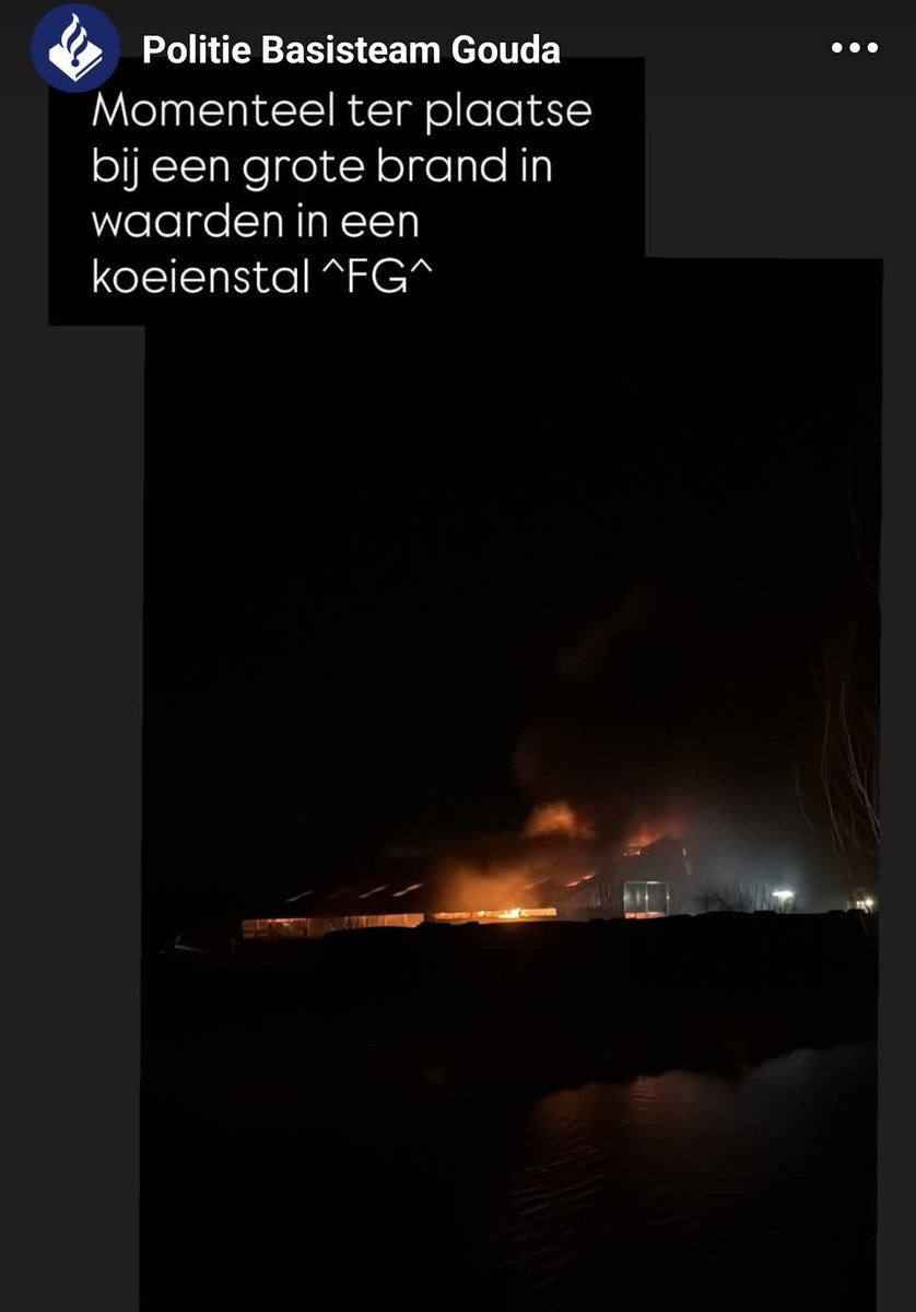 Grote brand in koeienstal in Waarder