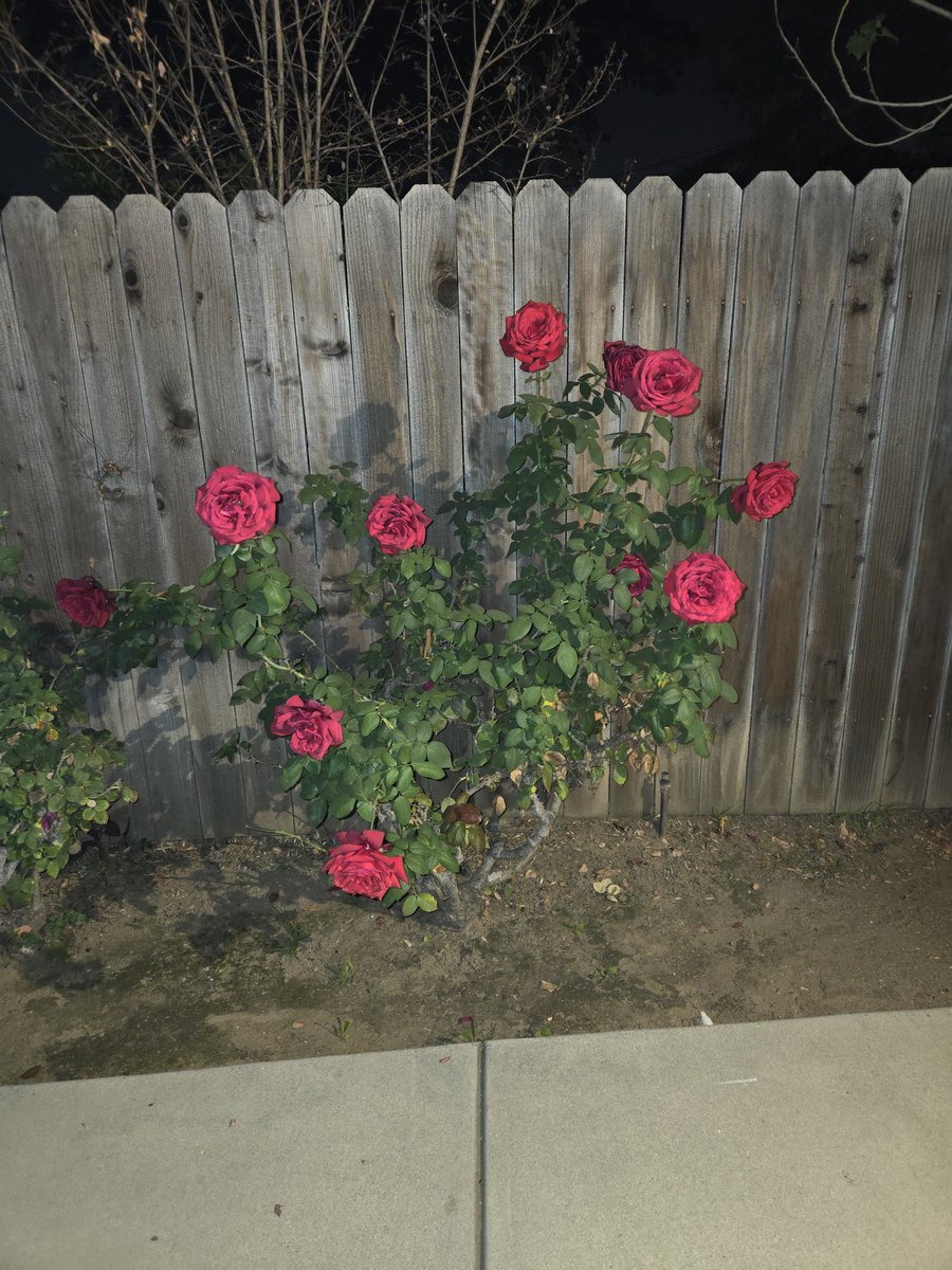 AvoidThePuddle's tweet image. Patience