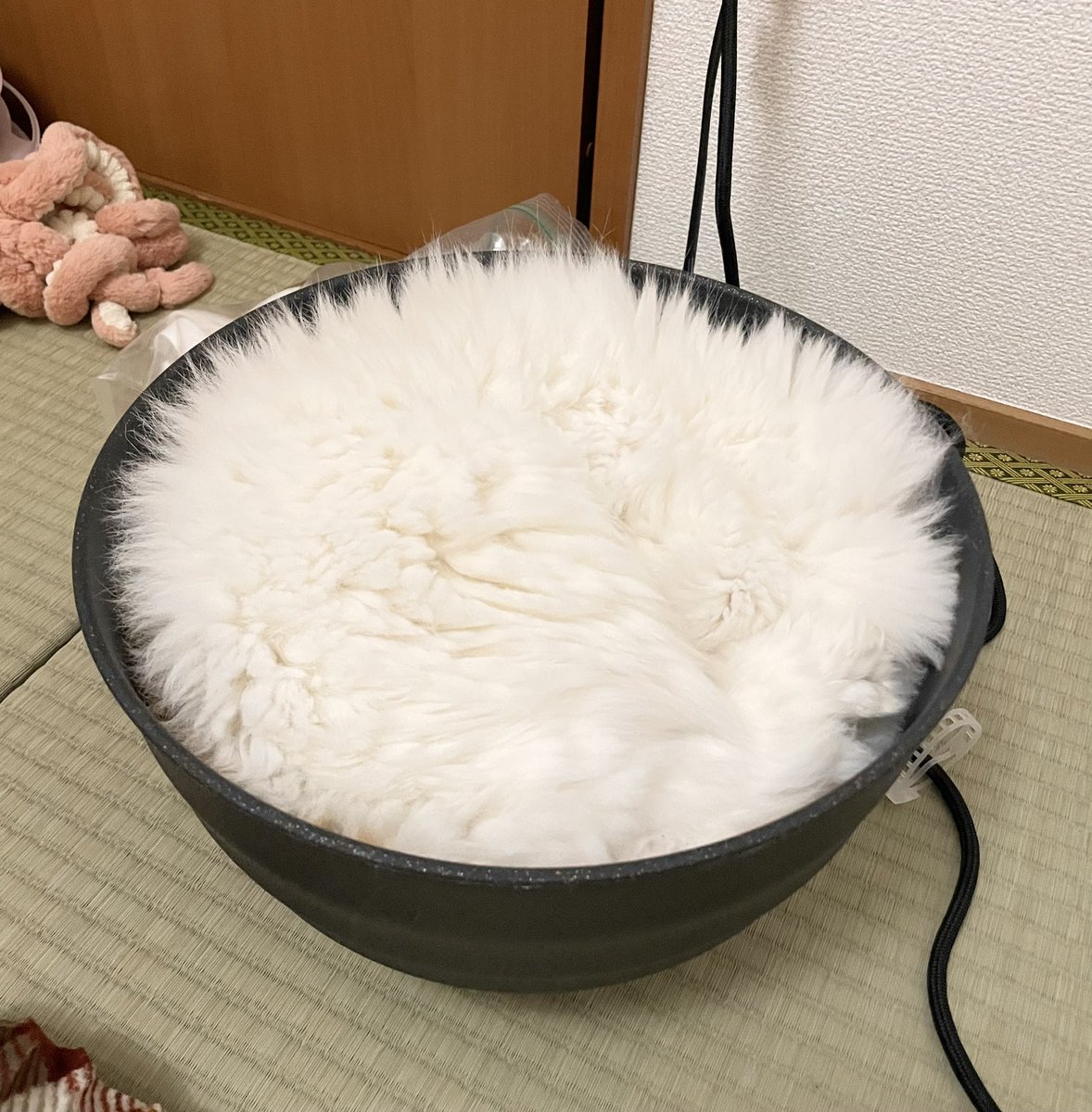 mkmk_1019x's tweet photo. ご飯あったわ https://t.co/VroVlEstcR