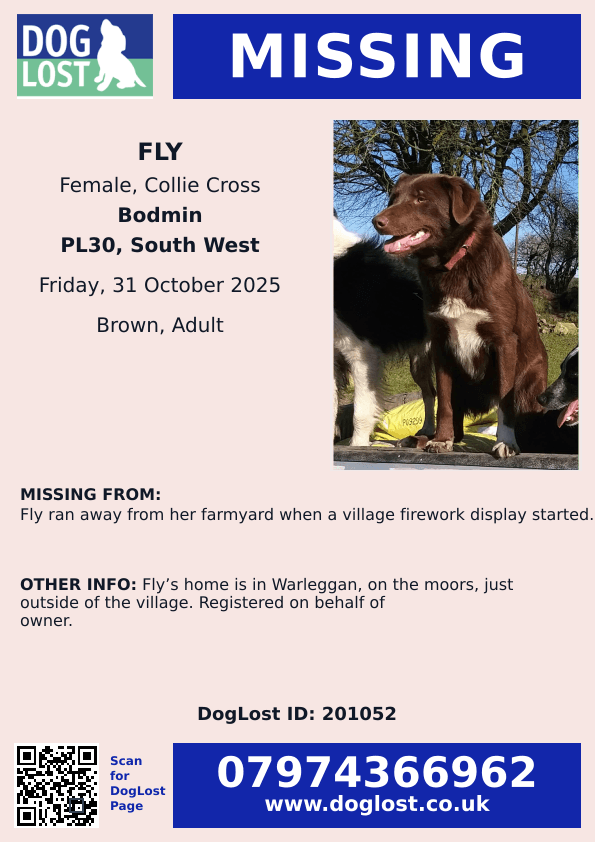 Missing Pets GB tweet media