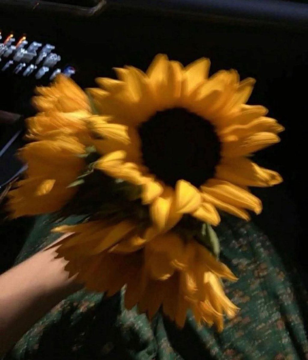 sunflow23002724's tweet image. เผื่อใจไว้บ้าง ทุกอย่างไม่ได้สวยงามอย่างที่คิด.🍃💛