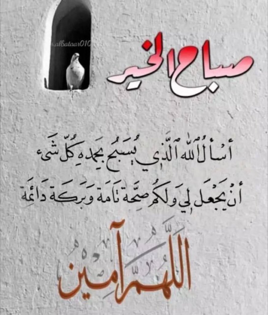 محمد الحميدي اليماحي tweet media