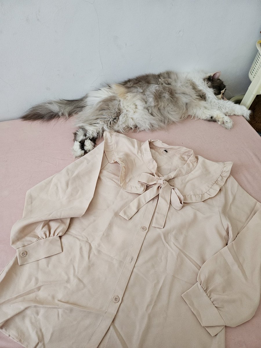 berrybunnays's tweet photo. blous 10k ld 110 panjang baju 68 https://t.co/5wI9D7l3lp