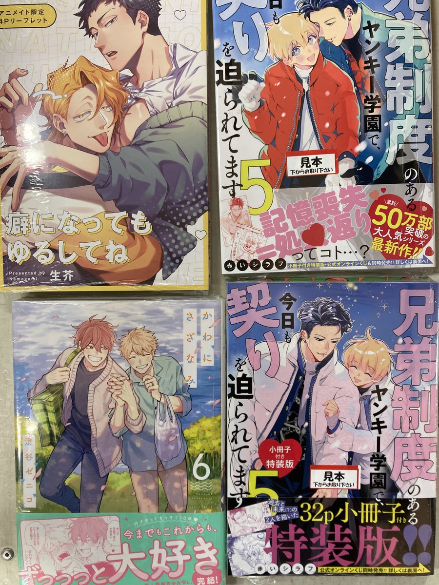 書籍入荷情報③】 「癖になってもゆるしてね アニメイトセット・通常版
