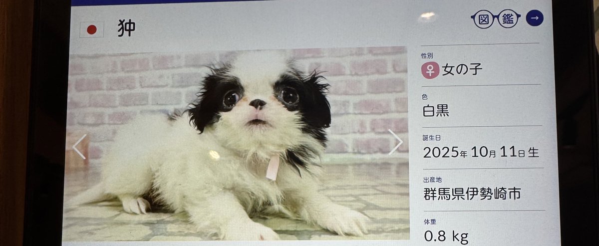 神ちゃん様、よろしくお願い致します☺ あけましておメデューサみくじお名前一覧 | 邪神ちゃんドロップキックX