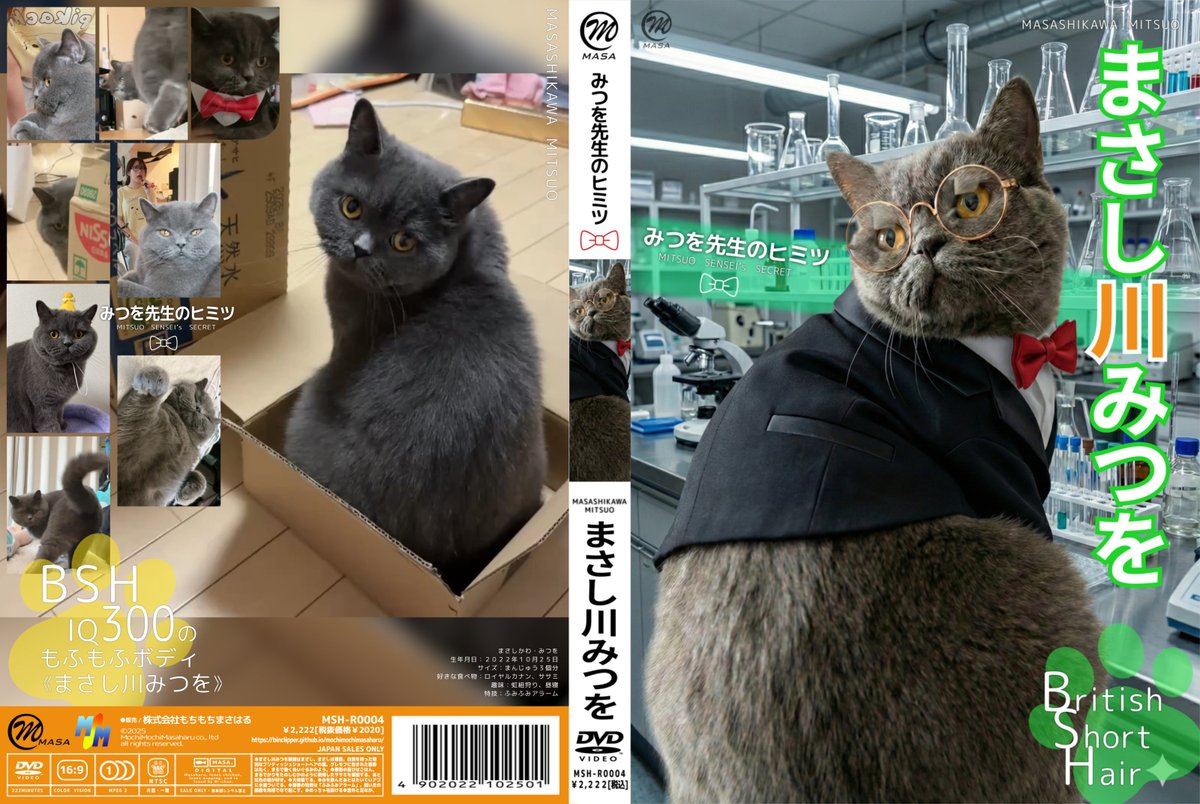 クリッパーびんびん年中無休 tweet media