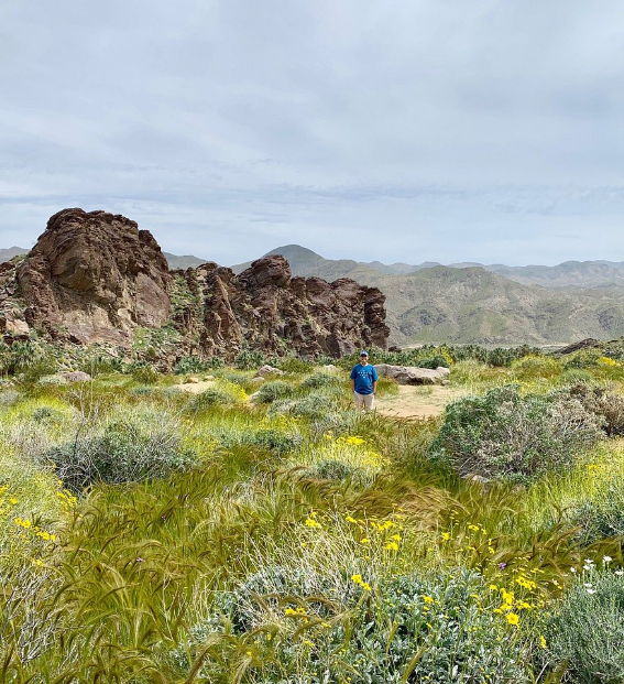 sdtmanager's tweet image. As other reviewers have noted, it’s challenging to access the hiking trails here.