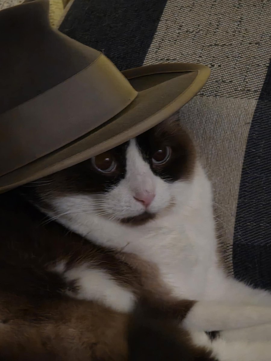 Sir Can Pirate tweet media