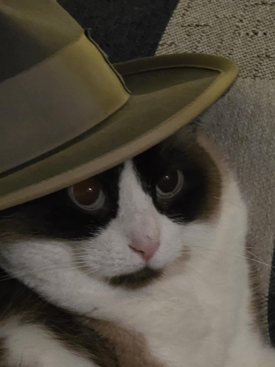 Sir Can Pirate tweet media