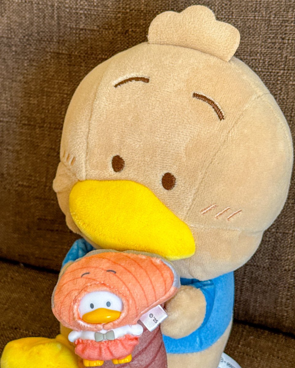 みっちゃん (@pekkle_micchan) / Posts / X