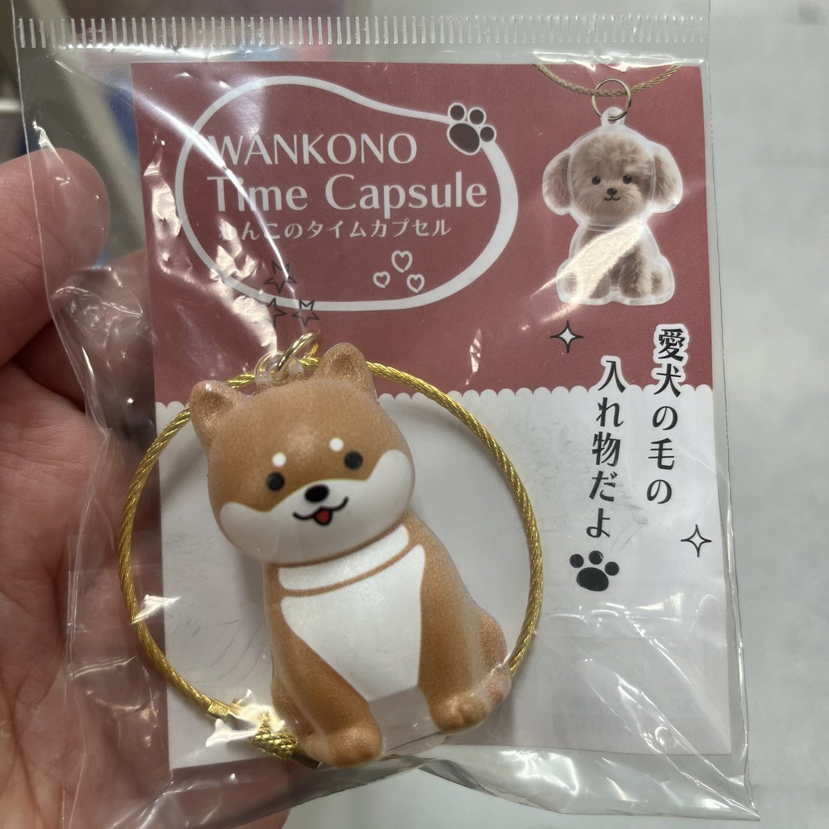 ねぎとろ (@nave33) / Posts / X