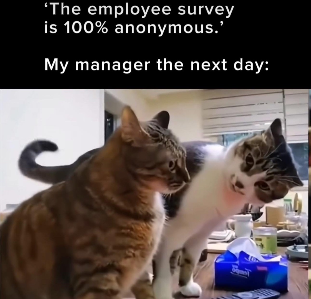 RespectfulMemes's tweet photo. https://t.co/NhD69aYXVa