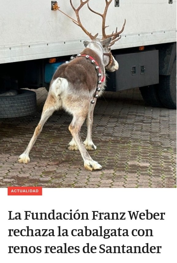 La alcaldesa <a href="/gemaigual/">Gema Igual Ortiz</a> se gastará MILES de €€€ en un desfile de renos el día 24. Vergüenza.

✏️ change.org/desfilessinani…
📰elfaradio.com/2025/12/17/la-…