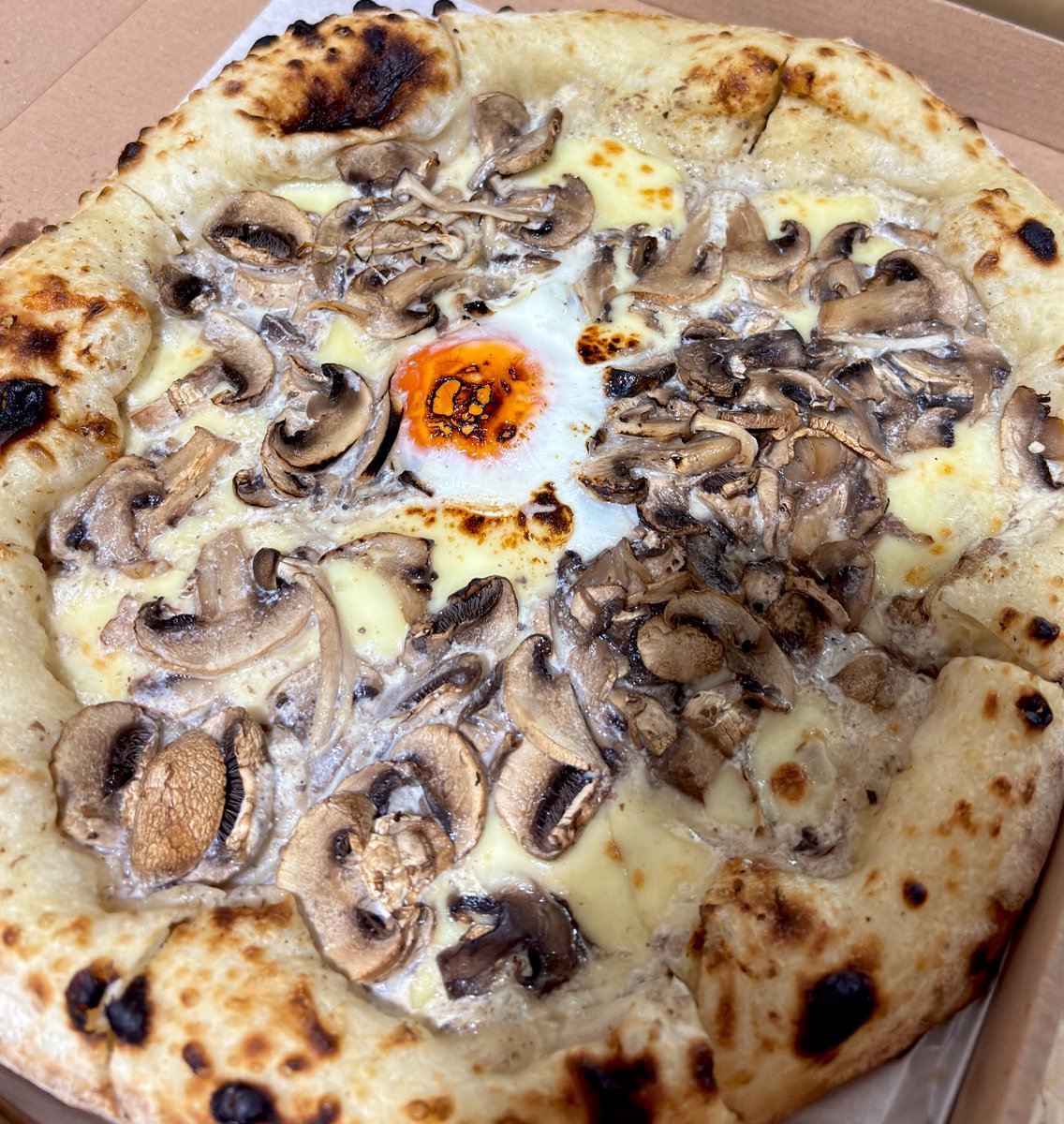 Elya Rosabelle 🧸🌹 tweet media