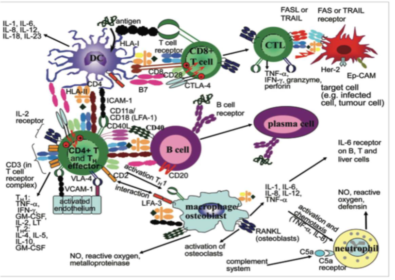 El viernes se analizarán las infecciones en dispositivos cardíacos y neuroquirúrgicos, y a continuación se celebrará una mesa redonda sobre infecciones complejas en pacientes inmunocomprometidos.