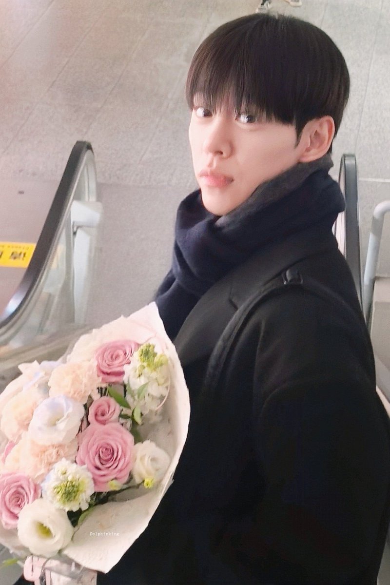 돌고래_Dkk🐬 tweet media