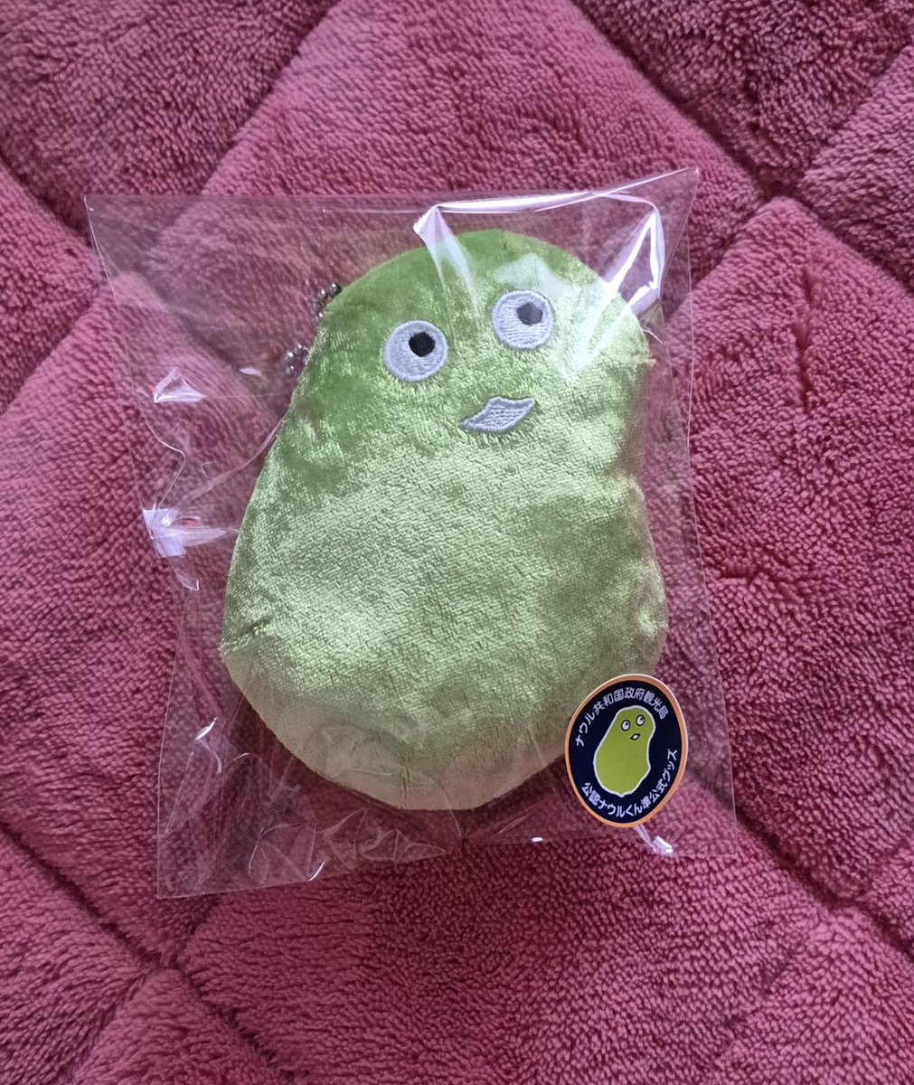 ナウルくんミニぬいぐるみキター！！
かいりさん、ありがとうございます😊
めちゃくちゃかわいいです！