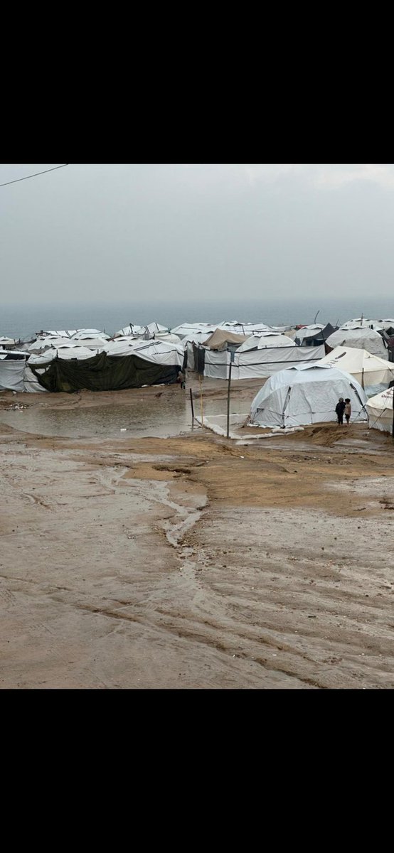 hudaa713x's tweet photo. 🚨Do you feel your limbs? 😭
Freezing cold and harsh, Siberian-like weather 🥶
that we are enduring in tents.
Death surrounds us in the Gaza Strip 🇵🇸

O Allah, be a support and helper
for the displaced and their children,
their sick, their elderly,
and their seniors.O Allah🤲🏻💔😭 https://t.co/TOnQfzyt0v