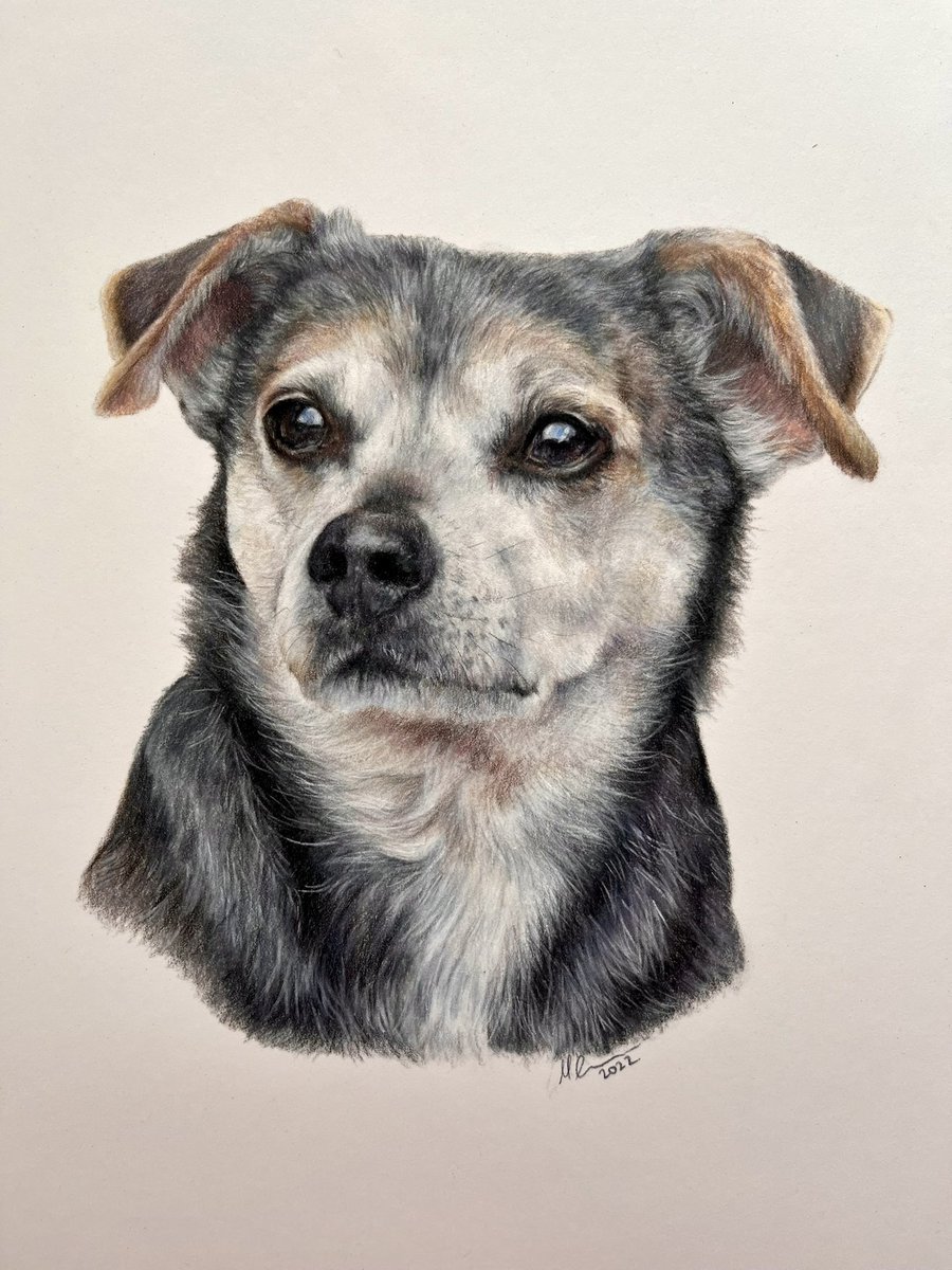 Megan Elizabeth - Artist tweet media