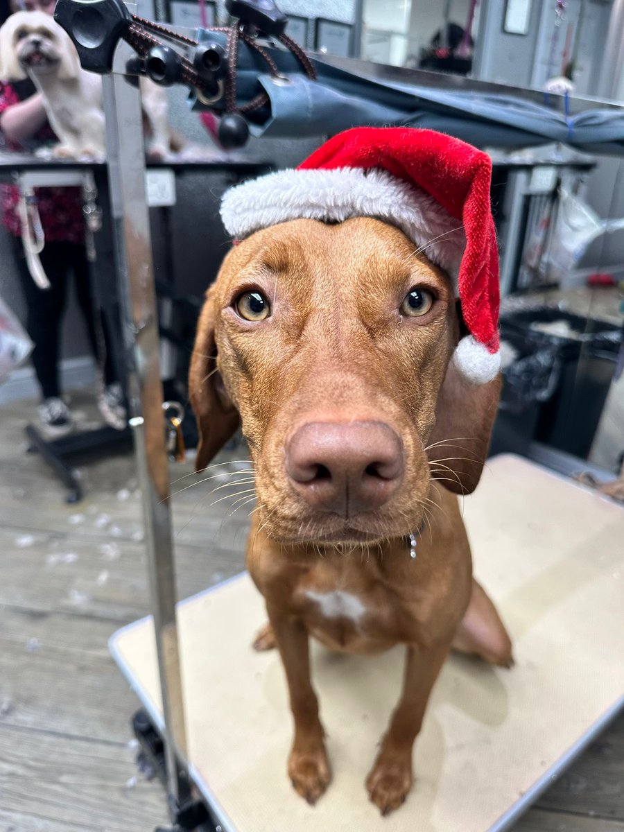 CopperTreeForensics tweet media