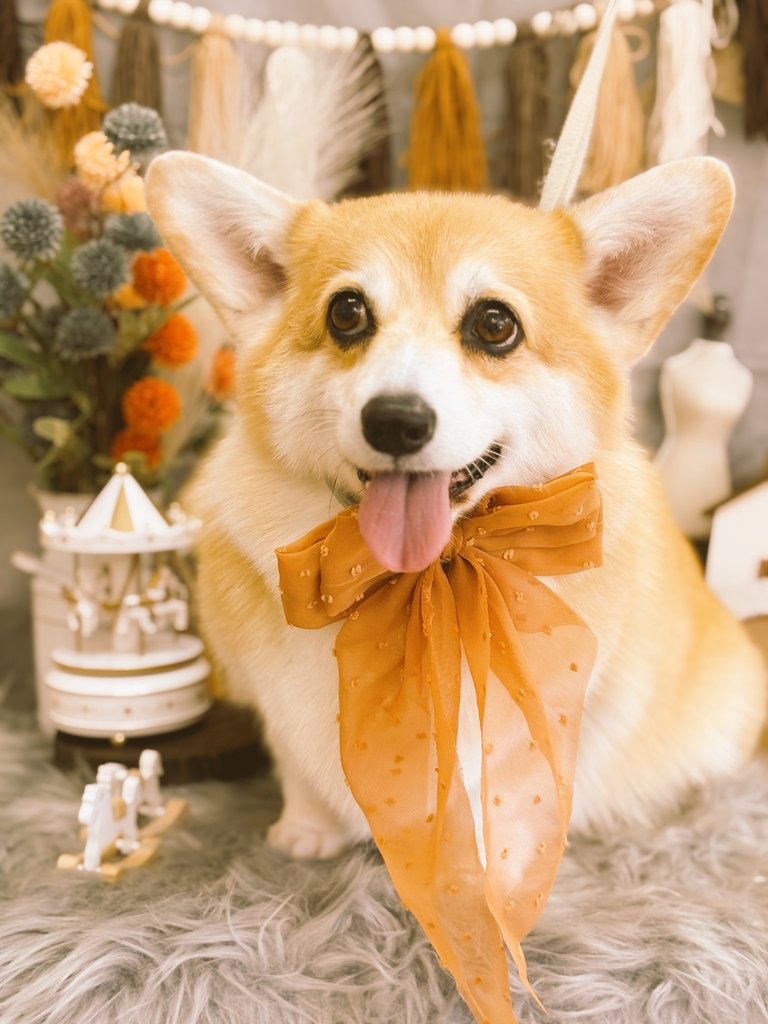 rain.hitujiさん♡ Japanese Print 