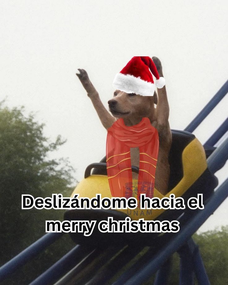 En Júpiter tweet media