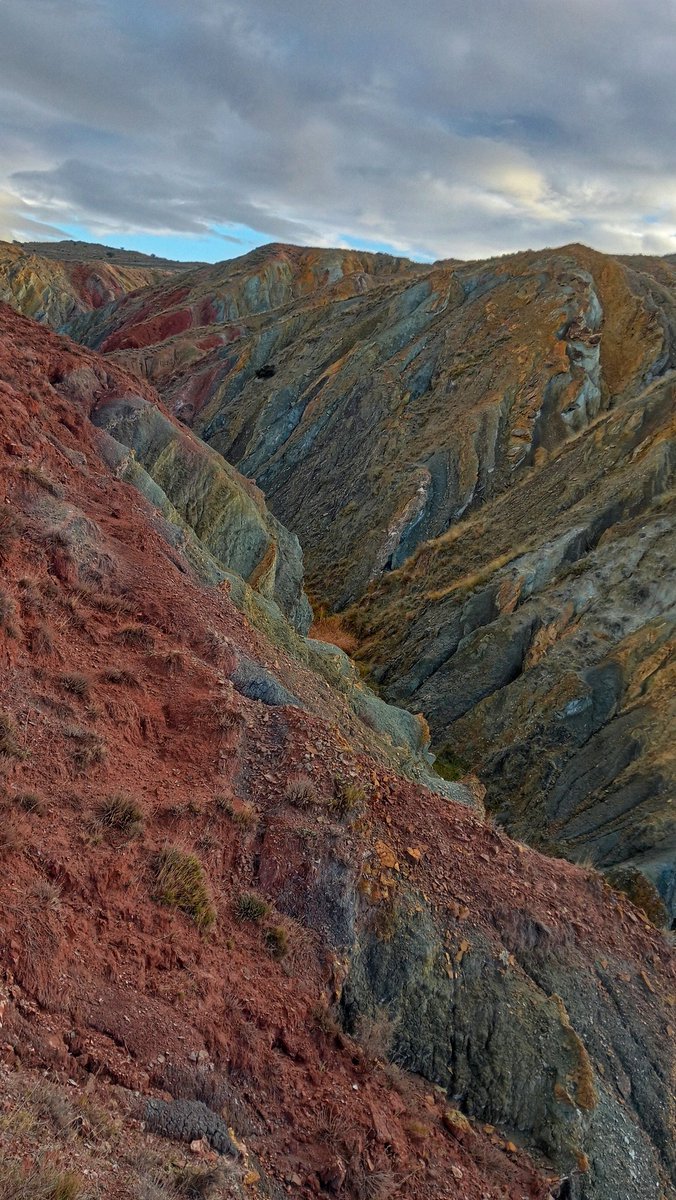 Pepino Acn tweet media