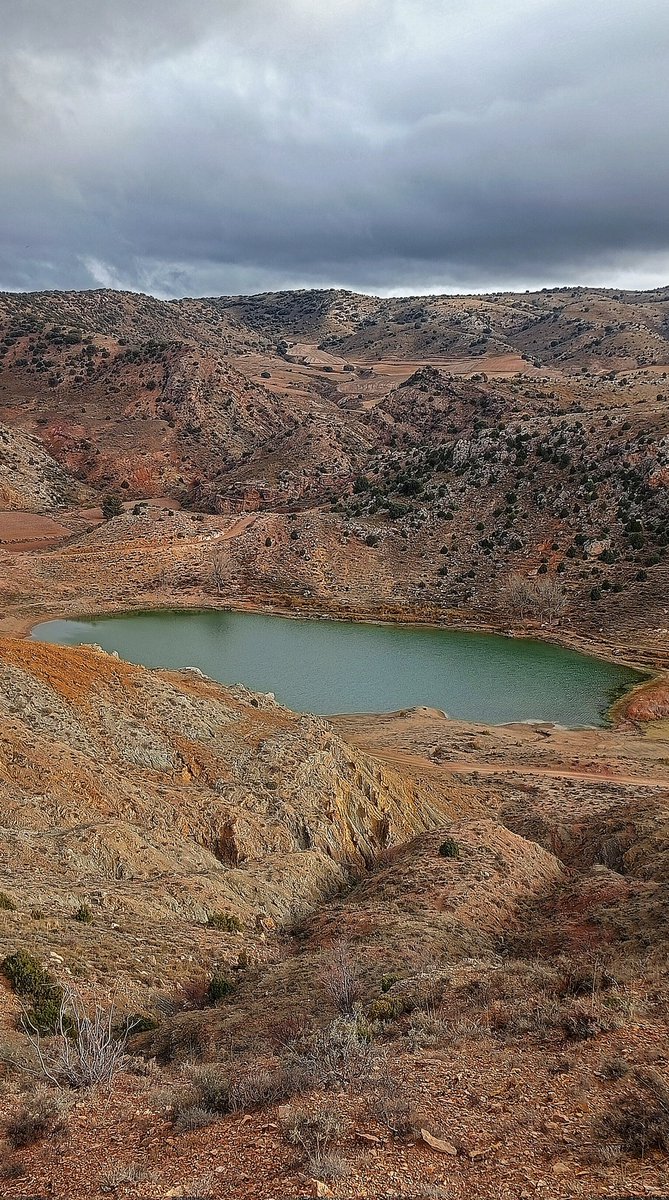 Pepino Acn tweet media