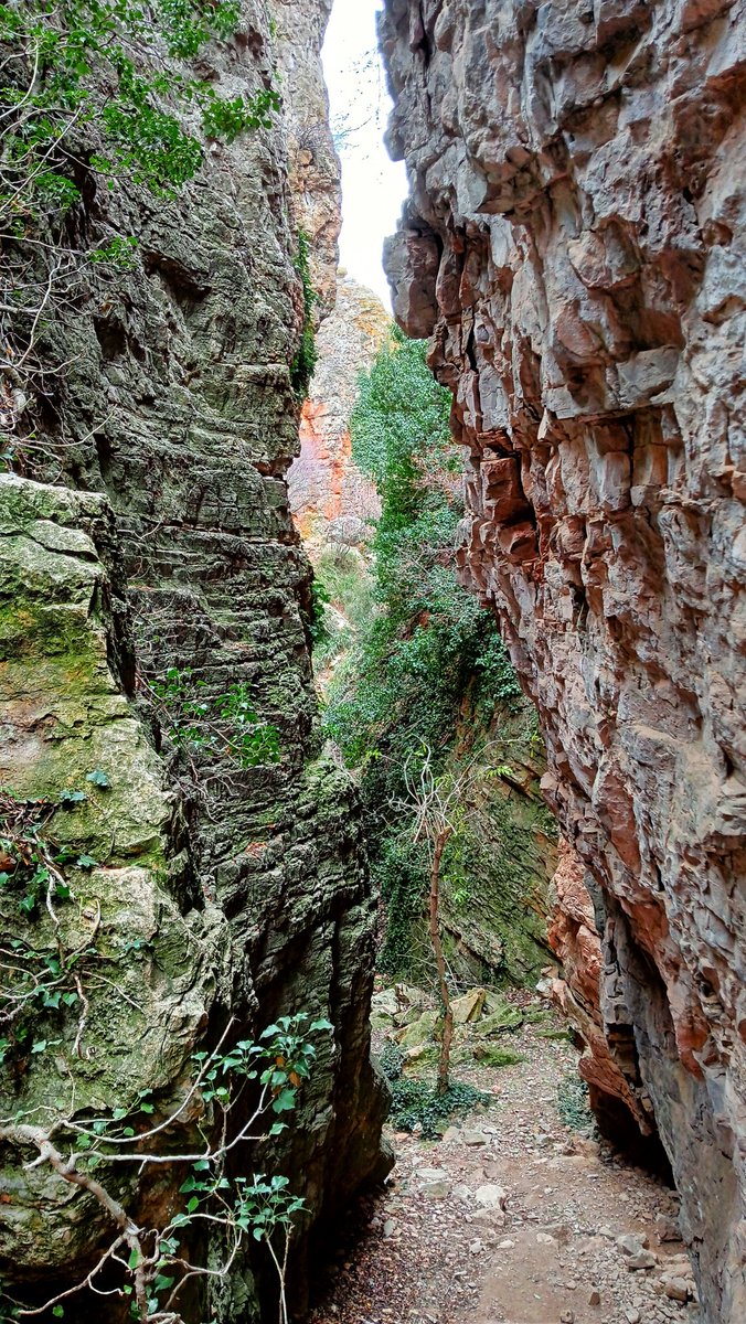 Excursió per indrets poc coneguts molt a prop de la ciutat de Terol 
loc.wiki/t/244021955?h=… passem pel barranc del Nabo, la serra Gorda, la Llacuna de Tortajada, el  tossal del Campillo i acabem en la Sima Valdecebro, un gran badall laberíntic en la muntanya
