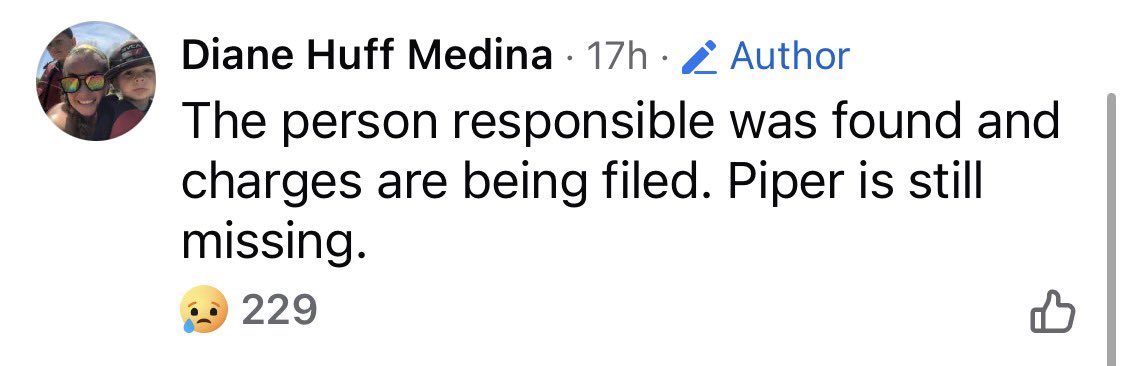 Oh no!!!!  For those of you following the saga of Piper the cat who was stolen by an <a href="/amazon/">Amazon</a> delivery man, we have a heartbreaking update from the owner.  The man was found but Piper the cat was not!!!   

Amazon needs to address this!!!!  Say something!   We are all worried!