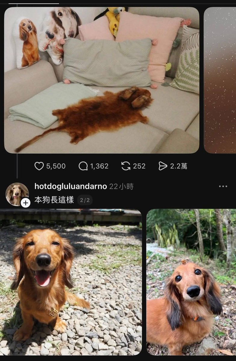 Duck不必.幹譙.不禮貌🌱🌱🌱 tweet media