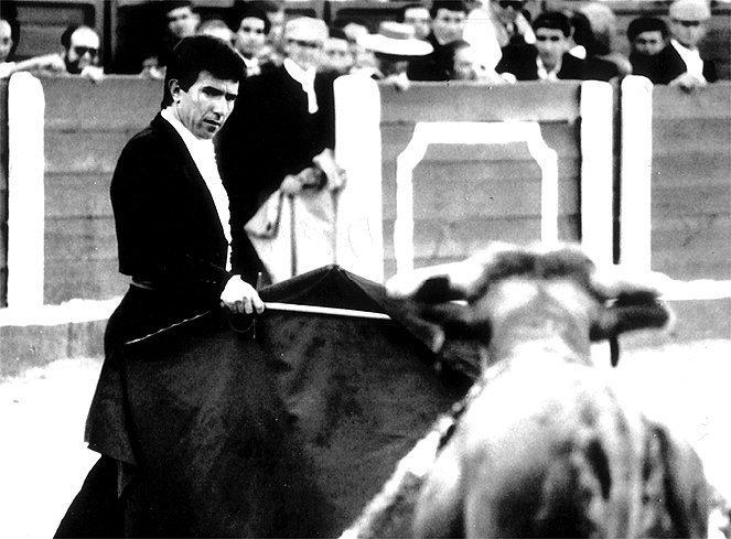 Fundación Toro Lidia tweet media