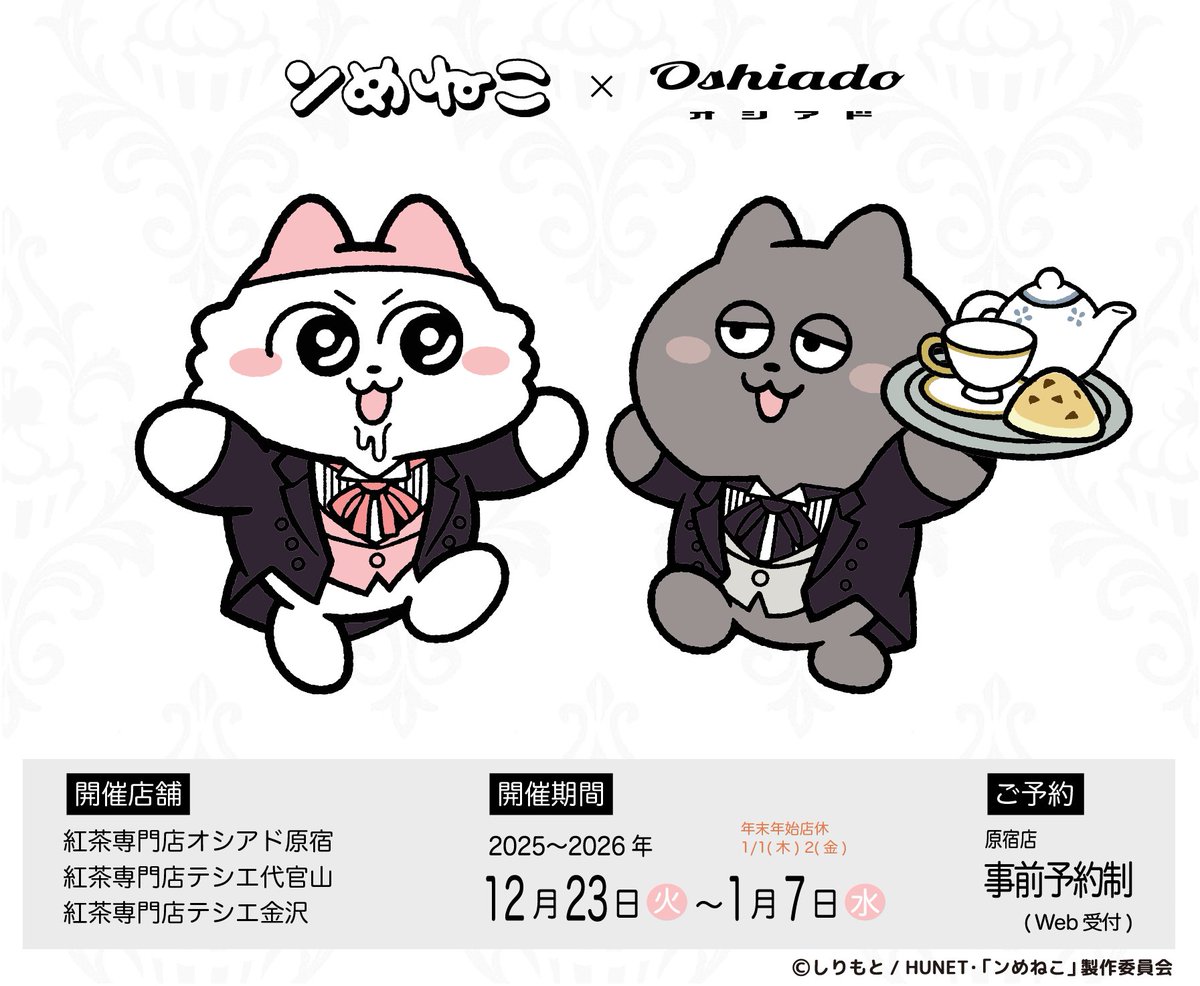 ンめねこ【グッズ公式】 (@nmeneko_goods) / Posts / X