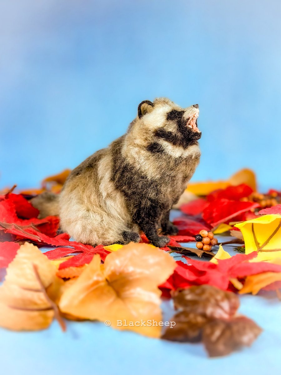 Hiroko@羊毛フェルト (@Hiroko_NeFe) / Posts / X