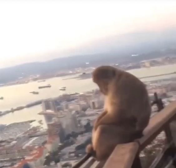 ehliyet dersinde aglamamak icin kicimi yirttim ders bitti parka aglamaya geldim aglayamiyom