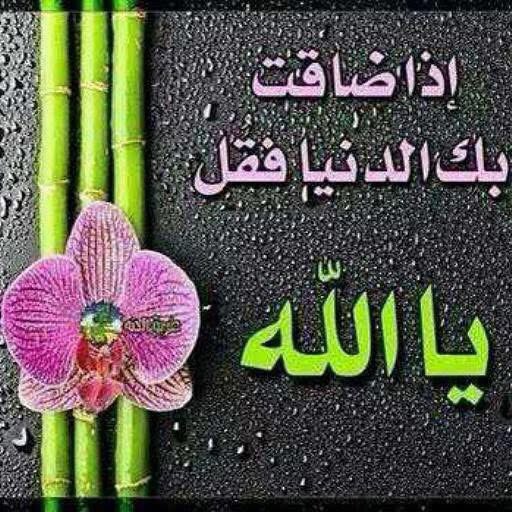 ربي رضاك والجنة🇸🇦 tweet media