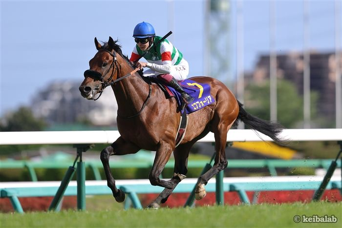 固い絆に思いを寄せて】 日曜の中山5R・2歳新馬では、エピファネイア産