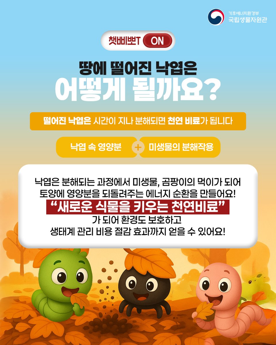 nibr_bio's tweet photo. ⭐️생물 전문 호기심 해결사⭐️
챗삐뽀T의 올해 마지막 답변!
.
“🍂낙엽은 쓰레기일까?”
.
추운 날씨가 되면
🧹길거리 낙엽을 치우는 모습,
자주 보셨을 텐데요!
.
그런데 수북이 쌓인 낙엽,
사실은 쓰레기가 아니다?!
.
🌱생태계 순환을 위한
어떤 소중한 역할을 한다는 사실!
👉🏻카드뉴스를 통해 확인해보세요~!
.
궁금한 생물을 재밌고 쉽게 알려준 챗삐뽀T!
여러분의 궁금증이 쏟아지는 날,
다시 돌아오겠습니다!💚
.
.
#국립생물자원관 #nibr #챗삐뽀T #챗GPT #ai #질문 #사용제한 #낙엽 #쓰레기 #자연이불 #생물 #생물퀴즈 #궁금증해결 #무료지피티 #ai추천 #낙엽의비밀 #겨울자연 #생물상식 #GPT활용 #지피티공부 #무료ai #호기심해결 #교육콘텐츠 #생물콘텐츠