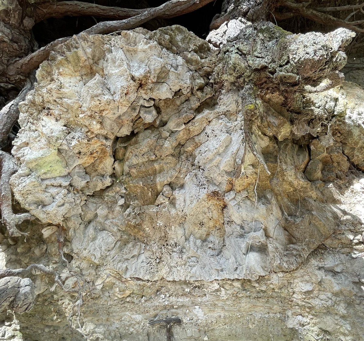 1800年前は美味しいところかも。