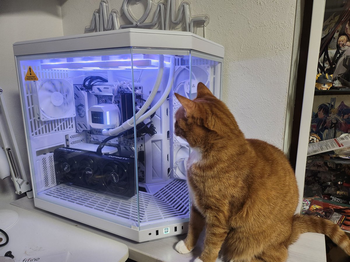 ひどりがも (@hidori223) / Posts / X