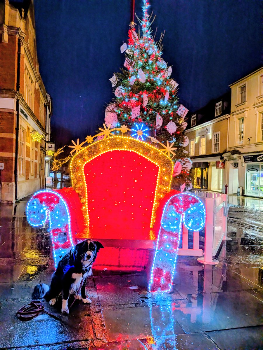 🎅💖 We’re still loving your fantastic photos on our Big Sparkly Christmas Chair! A special shoutout to Digger the dog, our latest model 🐾
Thank you to his owner, Lorraine, for sharing the snap.
📸✨ Have snaps of your own? Share them with us at: comms@daventrytowncouncil.gov.uk