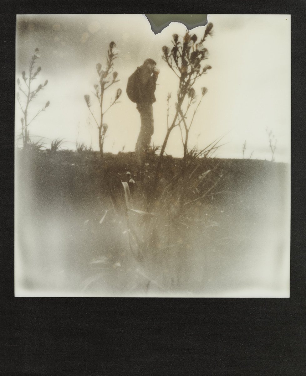 Paolo Della Ciana tweet media