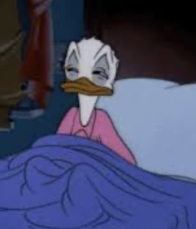 Stumpy_Boi's tweet image. Nothing like a wee totey 17 HOUR NAP