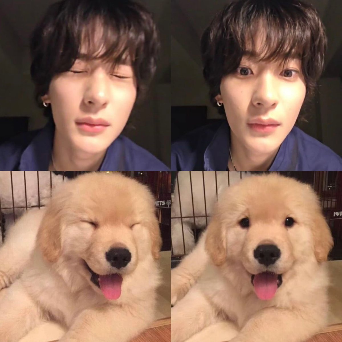 ｰ̀εｰ́                                                           𓂂ɞ̴̶̷ ₃ ɞ̴̶̷𓂂